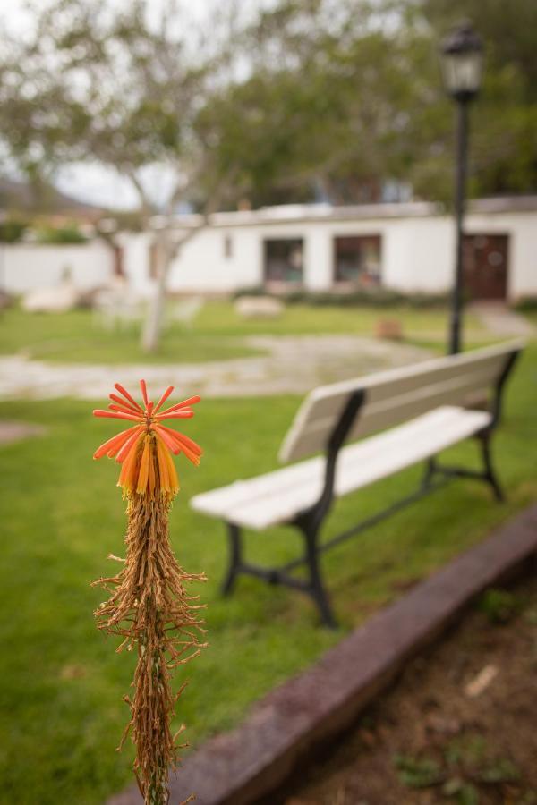 Hotel Tampu à Cachí Extérieur photo